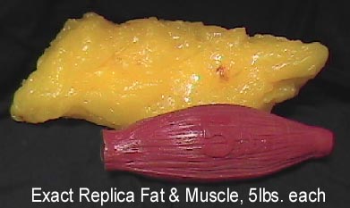 5 pounds of fat and muscle